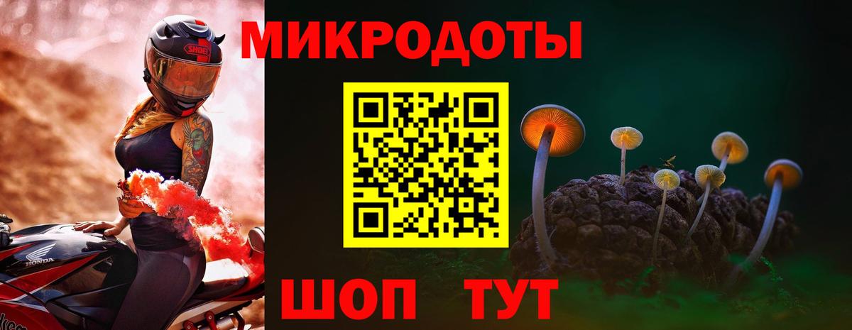 Тихорецк  Галлюциногенные грибы прущие грибы  Галлюциногенные грибы Psilocybe  купить закладку  Вход с VPN 